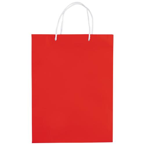 Draagtas papier met lus groot formaat LT91513 - Yana Gifts