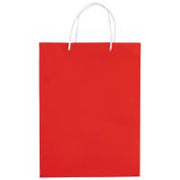 Draagtas papier met lus groot formaat LT91513 - Yana Gifts