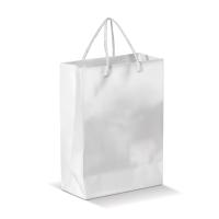 Draagtas papier groot met touw - Yana Gifts